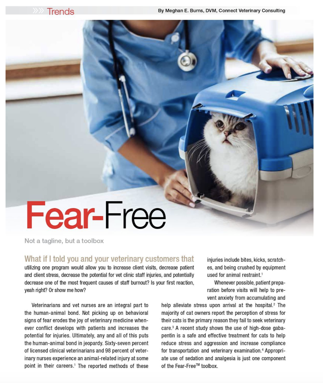 Becoming a Fear Free Practice
